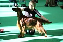 Crufts2011 047